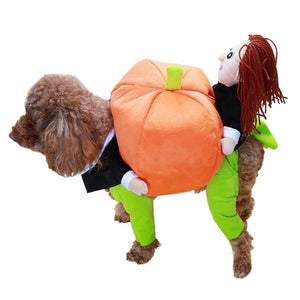 Pet Costume-Pumpkin