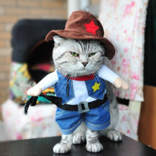 Load image into Gallery viewer, Cat Clothes-Pirate