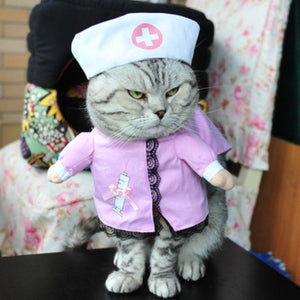 Cat Clothes-Pirate