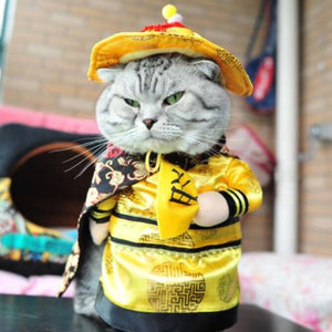 Cat Clothes-Pirate