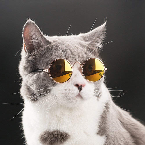 Cat&Dog Sunglasses