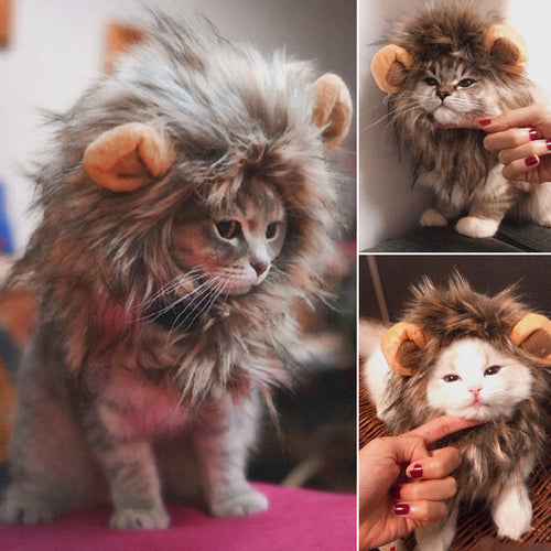 Cat Costume-Lion Wig