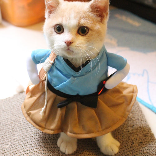 Funny Cat Costume